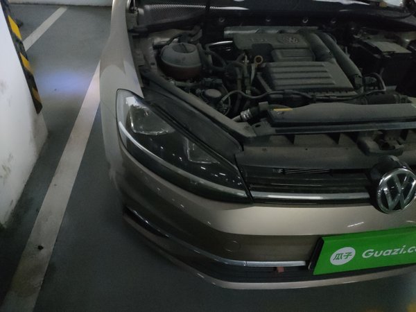 Volkswagen Golf · 2019 год