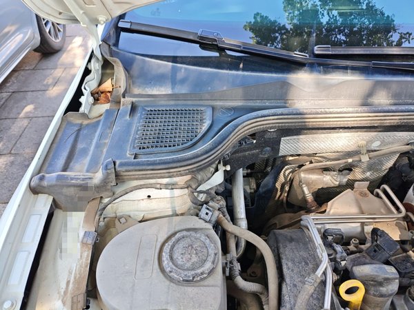 Volkswagen Golf 2021, 77000 км, за 15264 USD - фото 20