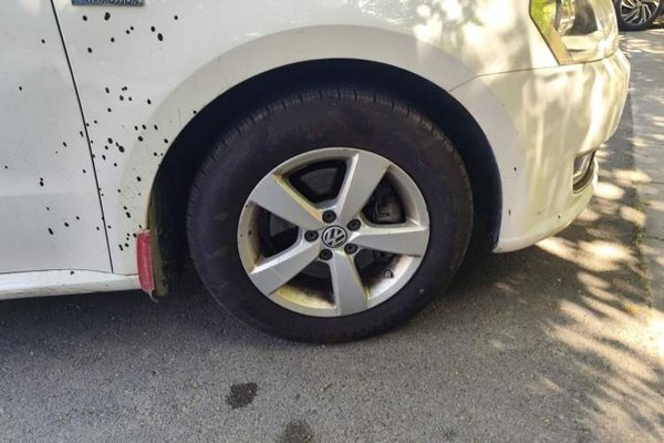 Volkswagen Lavida 2014, 123600 км, за 5933 USD - фото 8