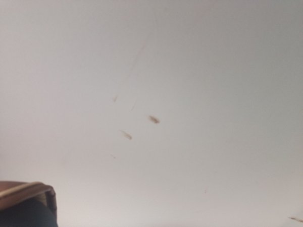 Volkswagen Polo 2014, 28000 км, за 4473 USD - фото 19