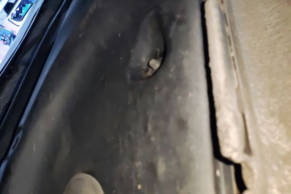Volkswagen Sagitar 2015, 72900 км, за 4914 USD - фото 27