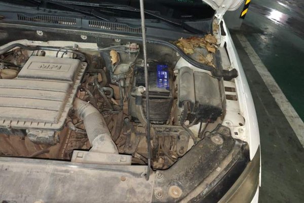 Volkswagen Sagitar 2018, 134400 км, за 5978 USD - фото 22