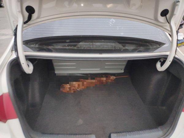 Volkswagen Santana 2016, 111000 км, за 4931 USD - фото 18