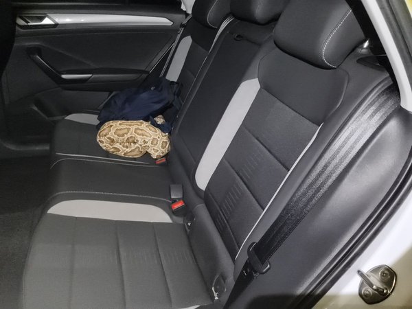 Volkswagen T-ROC 2021, 58800 км, за 9318 USD - фото 18
