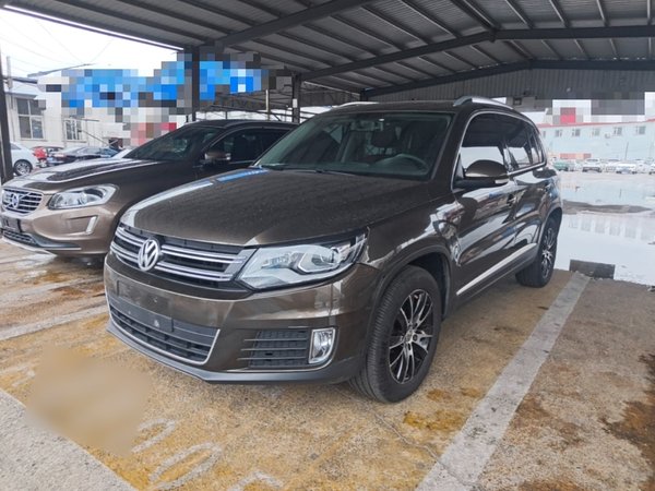 Volkswagen Tiguan · 2013 год
