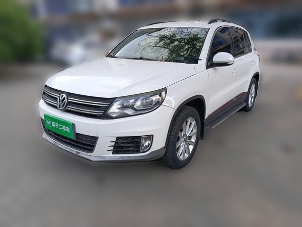 Volkswagen Tiguan · 2015 год