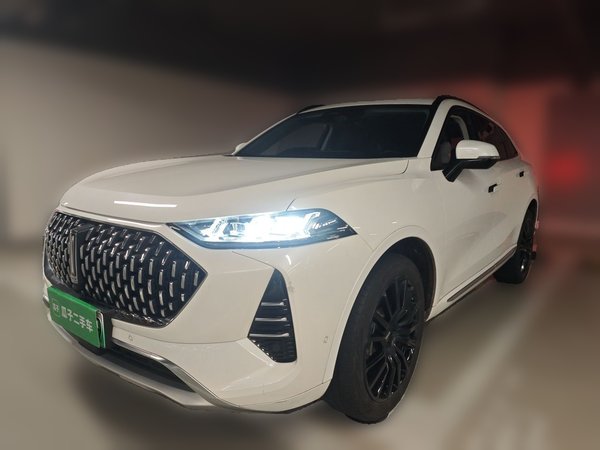 Wey Mocha New Energy · 2022 год