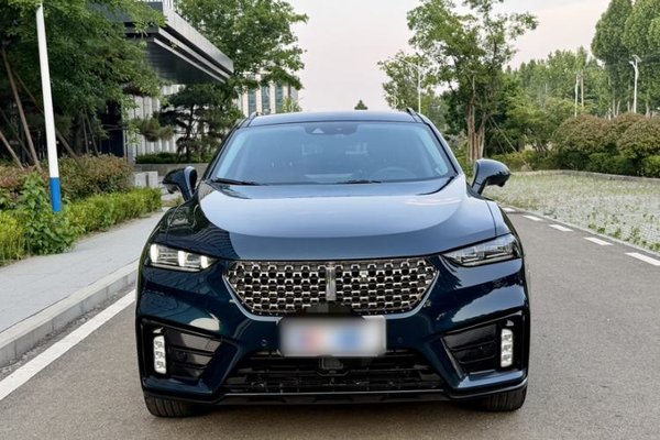 Wey VV7 2020, 53900 км, за 12639 USD