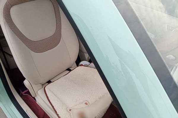 Wuling Hongguang MINIEV 2024, 9900 км, за 6304 USD - фото 23