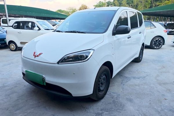 Wuling Hongguang New Energy · 2024 год