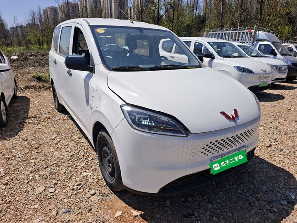 Wuling Hongguang New Energy · 2025 год