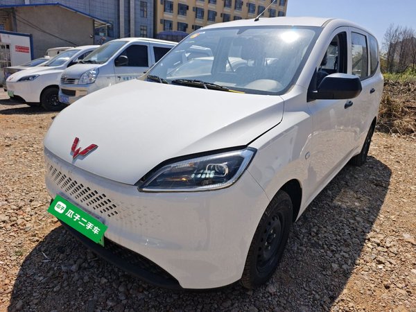 Wuling Hongguang New Energy 2025, 100 км, за 9830 USD