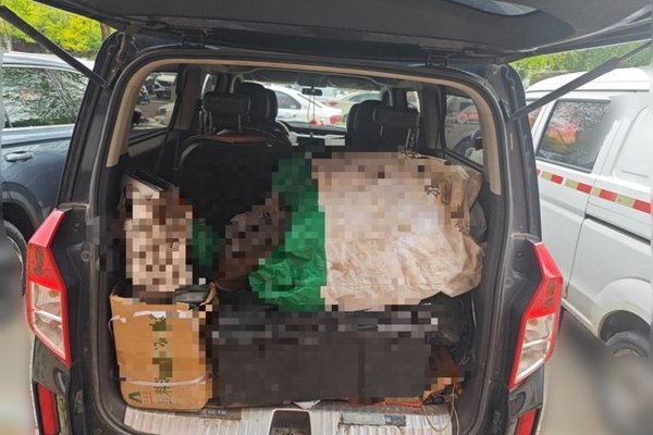 Wuling Zhengcheng 2021, 42500 км, за 6231 USD - фото 20