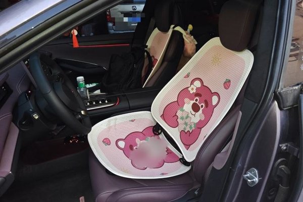 Xiaomi Auto SU7 2024, 9500 км, за 37249 USD - фото 14