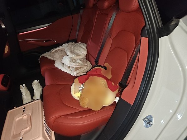 Xiaomi Auto SU7 2024, 7400 км, за 28016 USD - фото 8