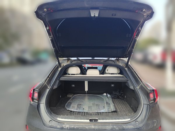 Zeekr 001 2023, 146600 км, за 18804 USD - фото 20