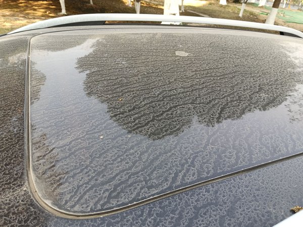 Zotye Domy X5 2015, 103600 км, за 3167 USD - фото 11