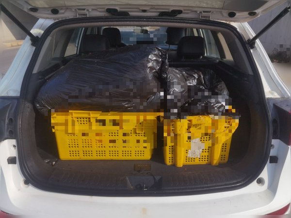 Zotye T600 2015, 64400 км, за 2709 USD - фото 20