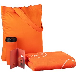 Подарочные наборы с пледами