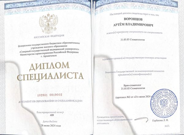 Диплом о высшем образовании — Воронцов Артём Владимирович