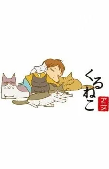 Кошачьи истории — Спецвыпуски