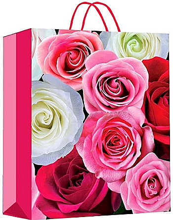 Пакет подарочный матовый 18*23*10см ЧУДО ПРАЗДНИК PM-104396-FLWR