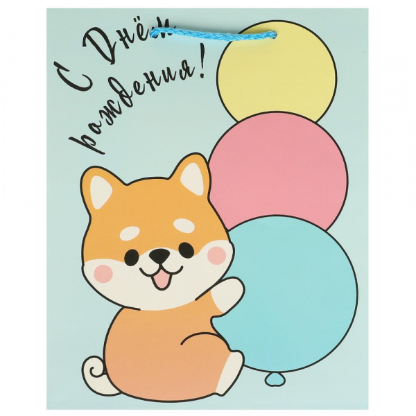 Пакет подарочный матовый 18*23*10см PM-108854-C2HB