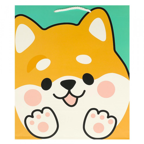 Пакет подарочный матовый 26*32*14см PL-108852-C1HB