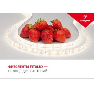 cfb99d5c0728645066530b8868745326