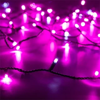 e86b806d7a58f9508bad5de8e66b95dd