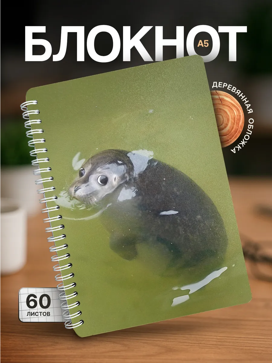 Изображение товара 1 из 4