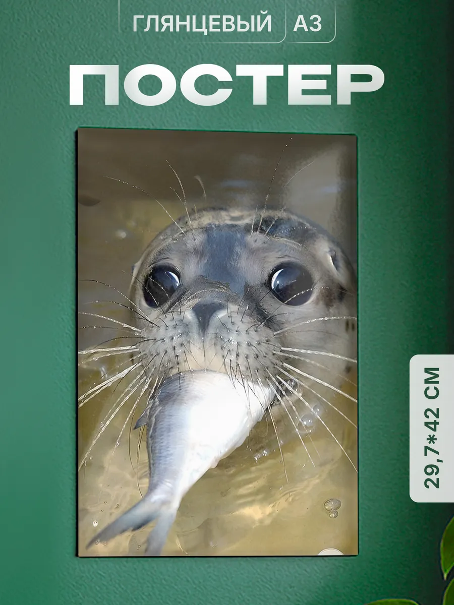 Изображение товара 1 из 4