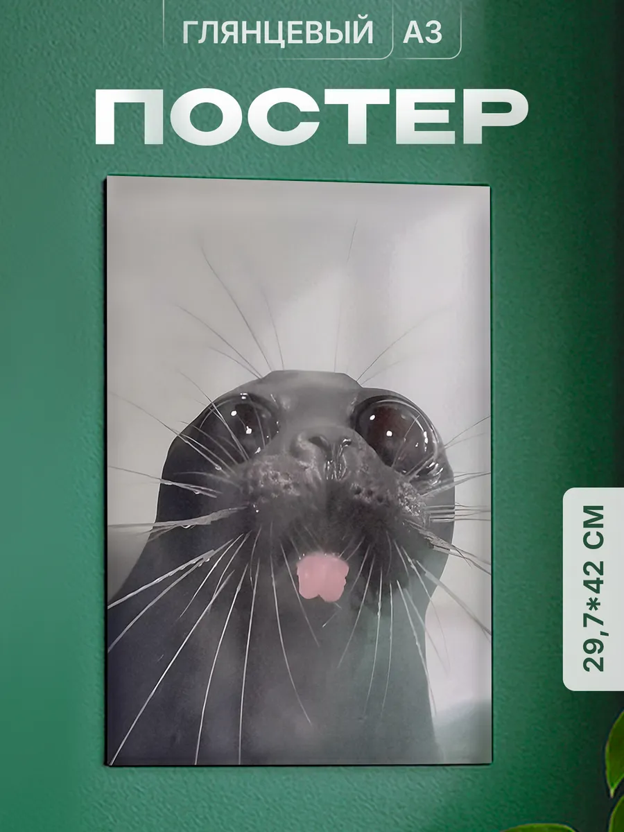 Изображение товара 1 из 4