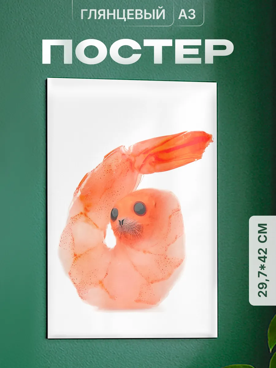 Изображение товара 1 из 4