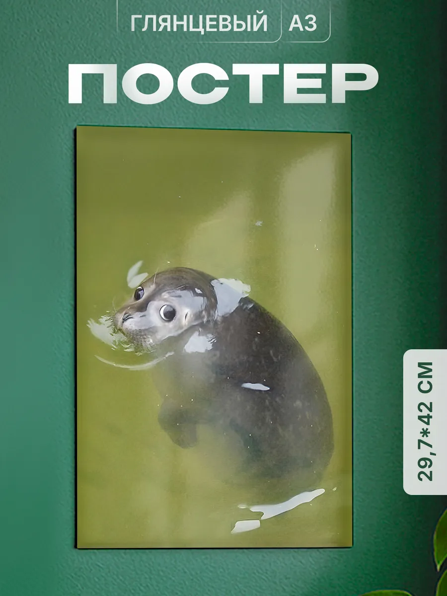 Изображение товара 1 из 4