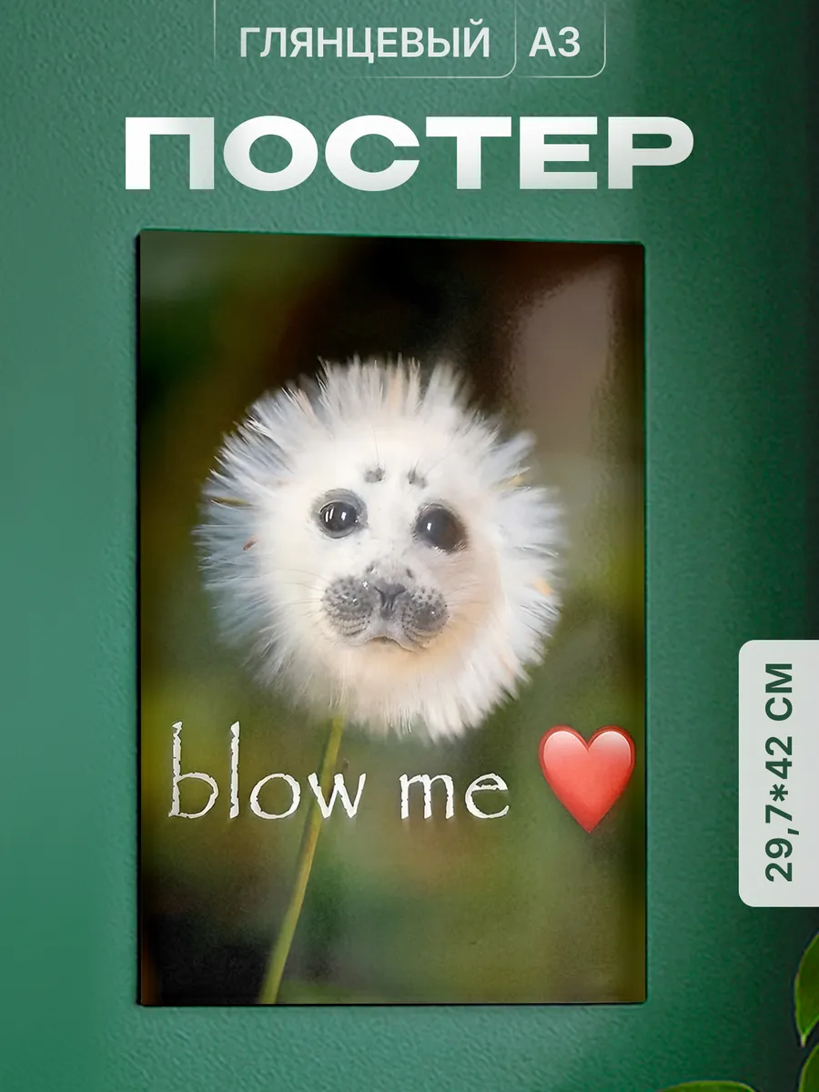 Изображение товара 1 из 4