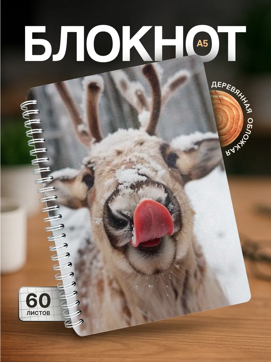 Изображение товара 1 из 4