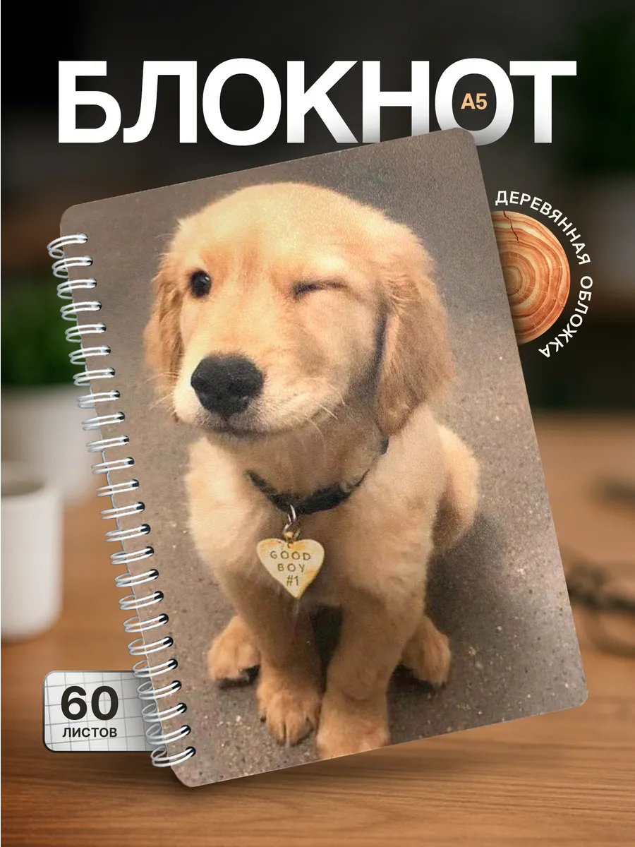 Изображение товара 1 из 4