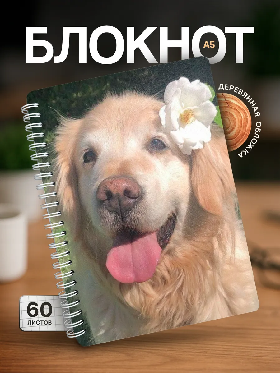 Изображение товара 1 из 4