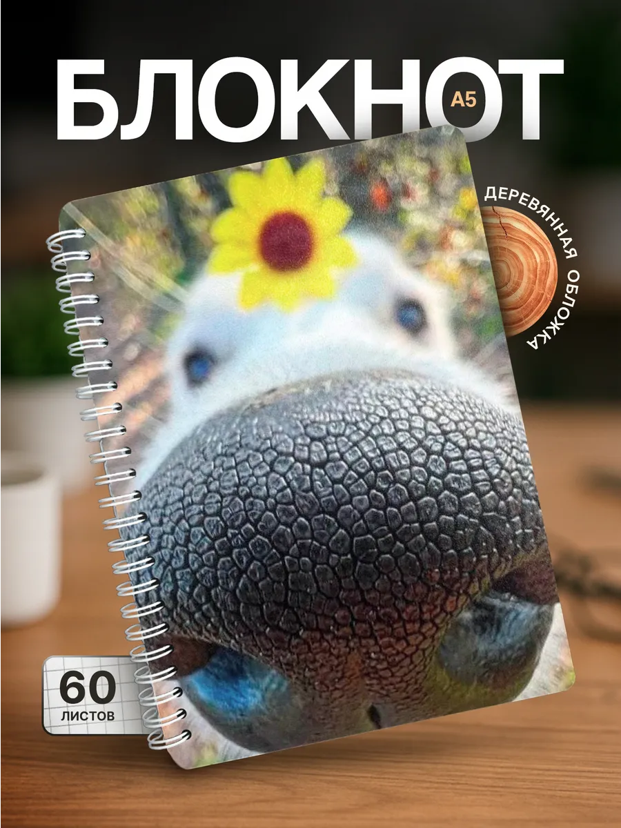 Изображение товара 1 из 4