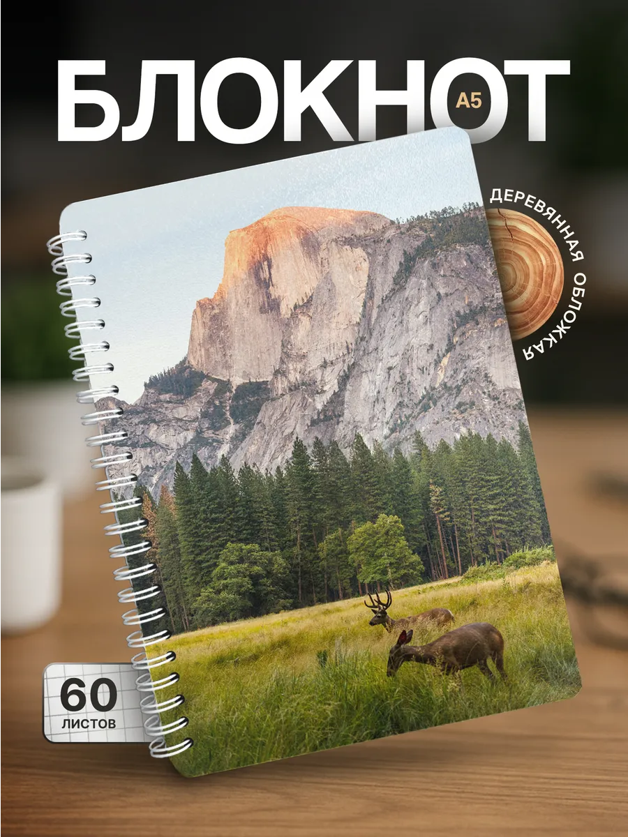 Изображение товара 1 из 4