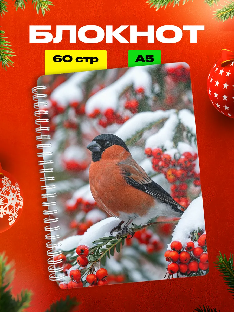 Изображение товара 1 из 4