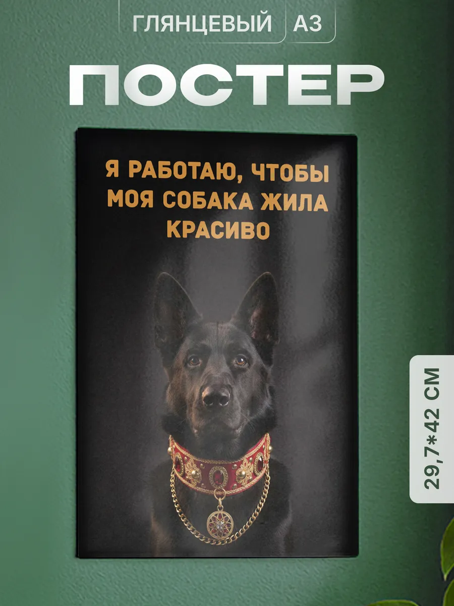 Изображение товара 1 из 4