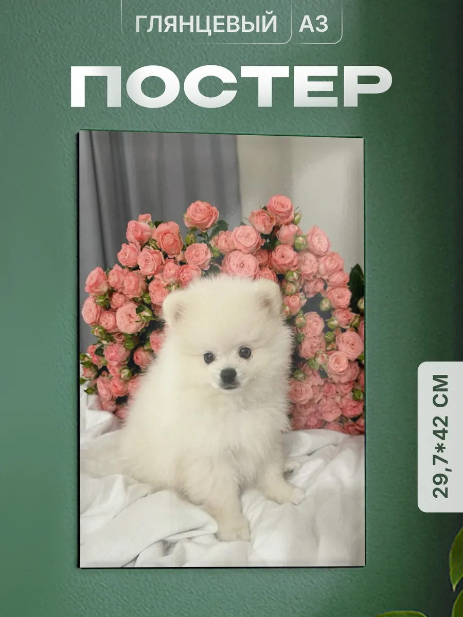Изображение товара 1 из 4
