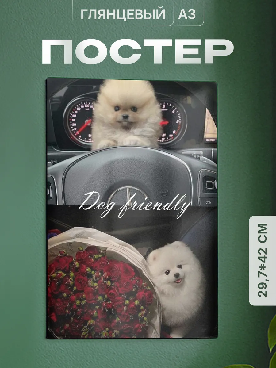 Изображение товара 1 из 4