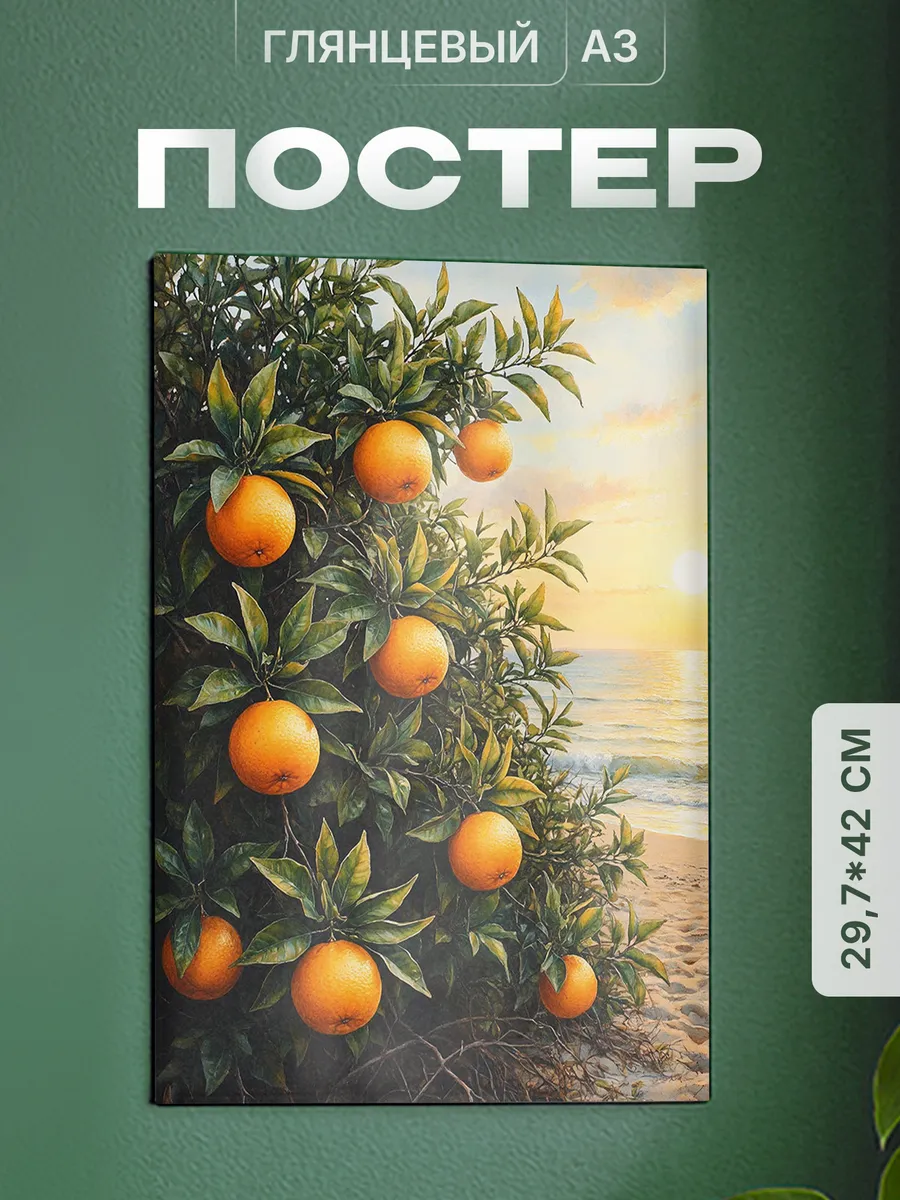 Изображение товара 1 из 4