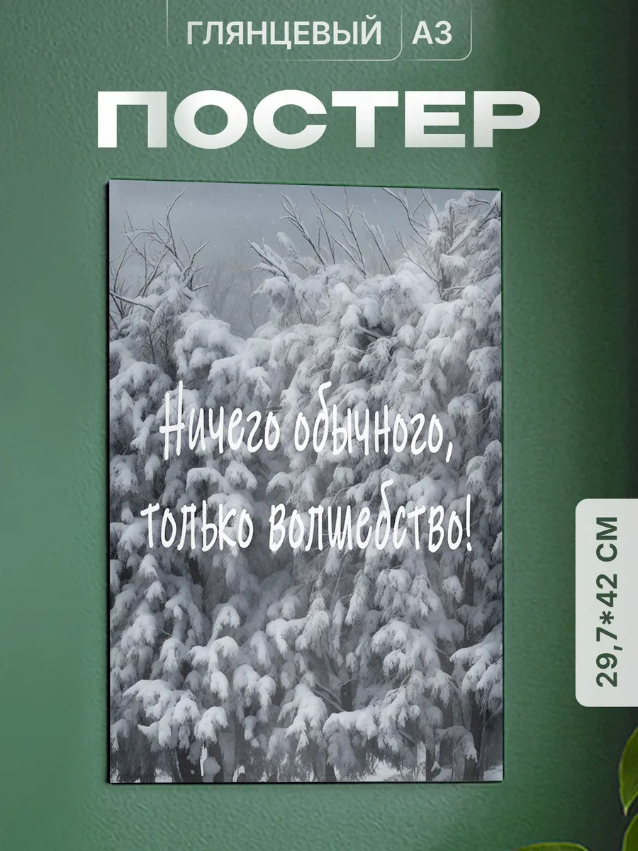 Изображение товара 1 из 4
