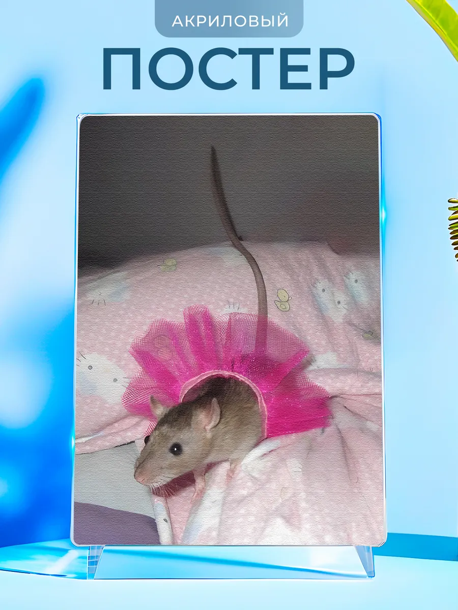 Изображение товара 1 из 4