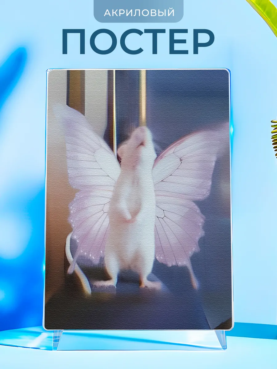 Изображение товара 1 из 4