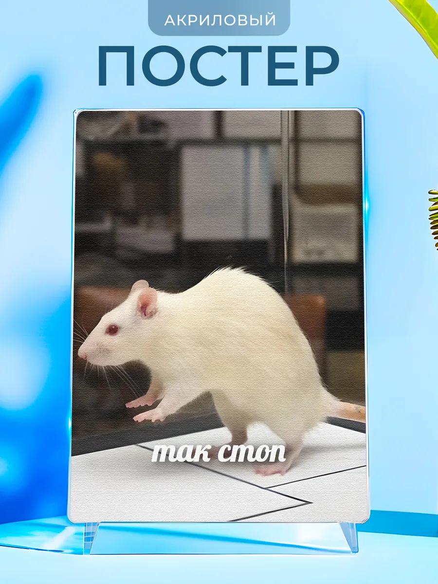 Изображение товара 1 из 4